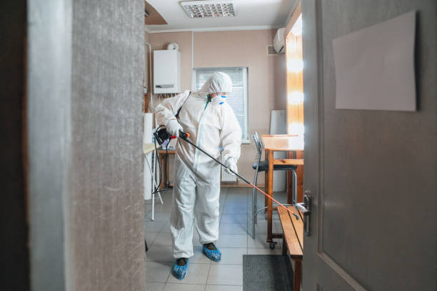 Best Mold Remediation for Healthcare Facilities  in Marshallville, GA