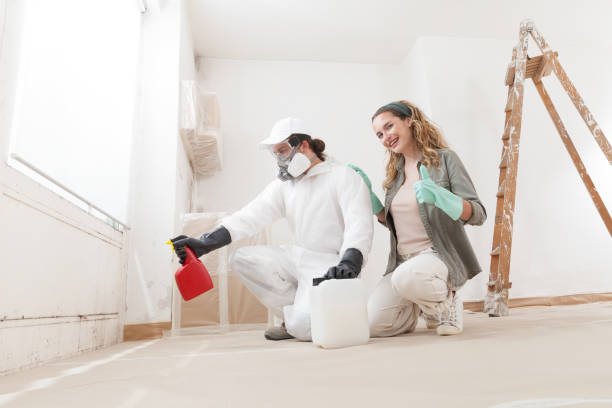 Best Mold Damage Restoration  in Marshallville, GA