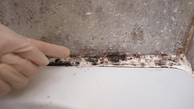 Best Emergency Mold Remediation  in Marshallville, GA